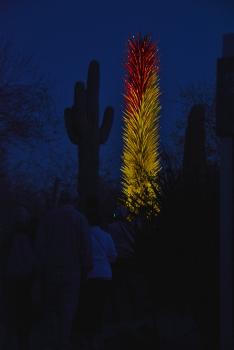 night shot of Chihuly art sculpture